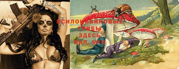 амф Абаза