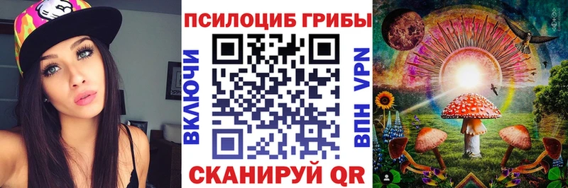 наркота  Балахна  Галлюциногенные грибы Psilocybine cubensis 
